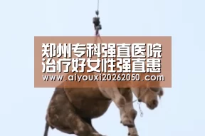 郑州专科强直医院治疗好女性强直患者反复发作-爱游戏竞猜(图1) 爱游戏直播