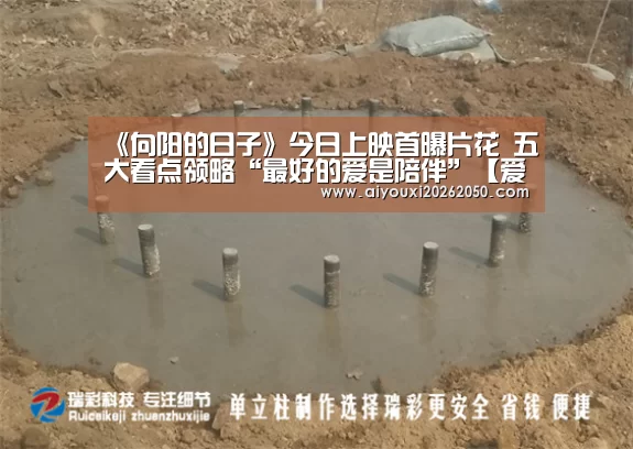 《向阳的日子》今日上映首曝片花 五大看点领略“最好的爱是陪伴”【爱游戏竞猜】(图2) 爱游戏竞猜