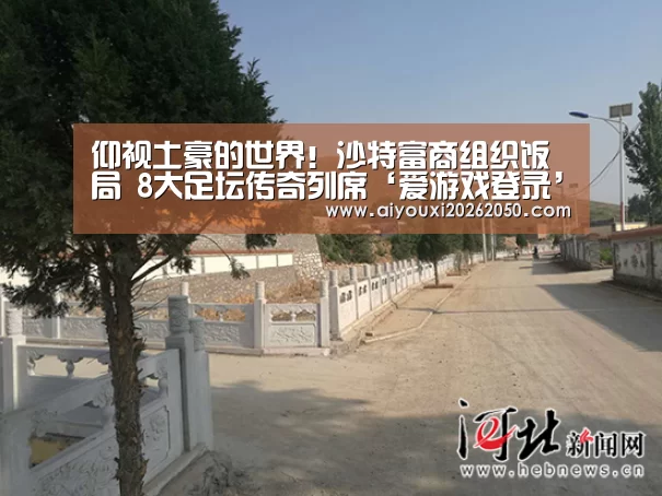 仰视土豪的世界!沙特富商组织饭局 8大足坛传奇列席‘爱游戏登录’(图4) 爱游戏直播