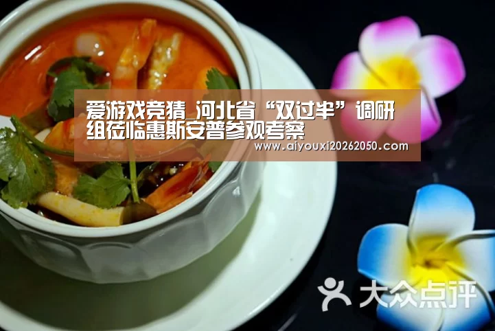 爱游戏竞猜_河北省“双过半”调研组莅临惠斯安普参观考察(图2) 爱游戏直播