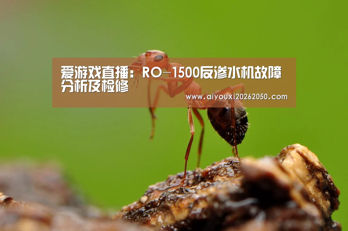 爱游戏直播:RO-1500反渗水机故障分析及检修(图3) 爱游戏登录