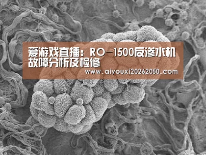 爱游戏直播:RO-1500反渗水机故障分析及检修(图4) 爱游戏直播