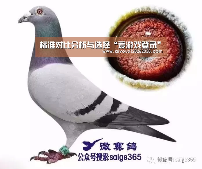 标准对比分析与选择“爱游戏登录”(图3) 爱游戏体育