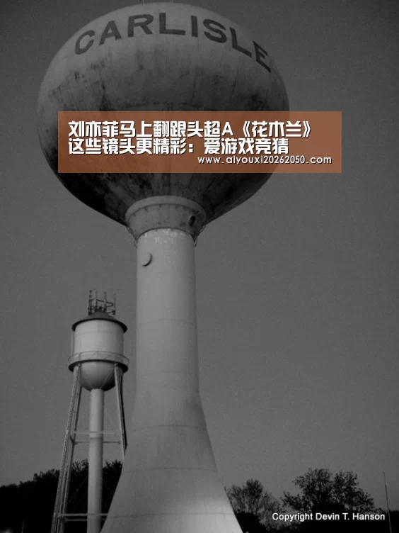爱游戏体育